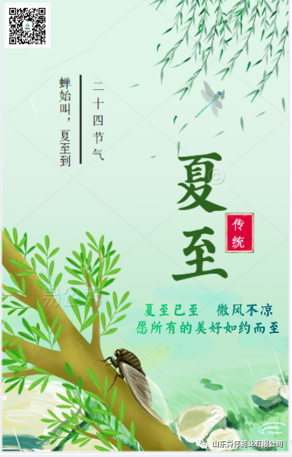 夏至已至